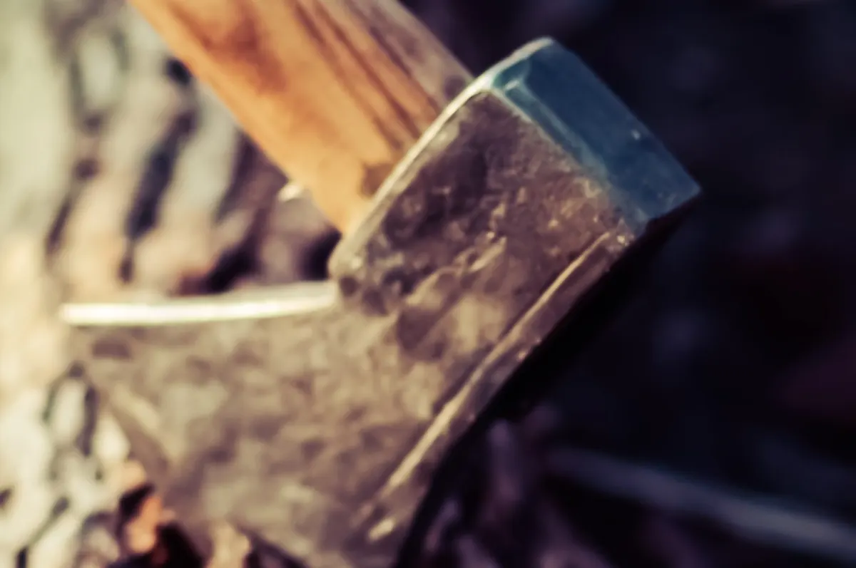 Close-up of a hatchet head with a wooden handle outdoors